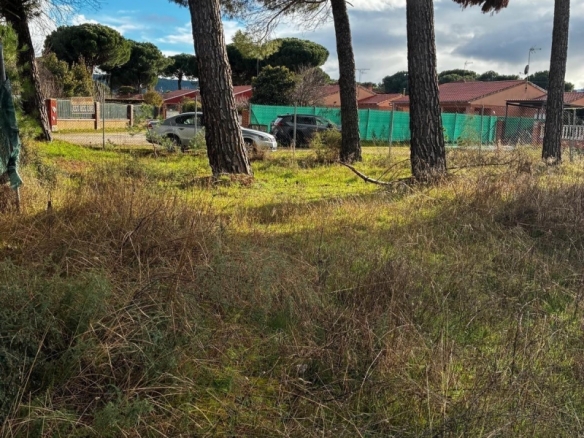 Parcela en venta para construir en Traspinedo.