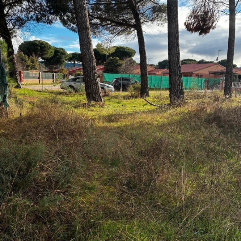 Parcela en venta para construir en Traspinedo.