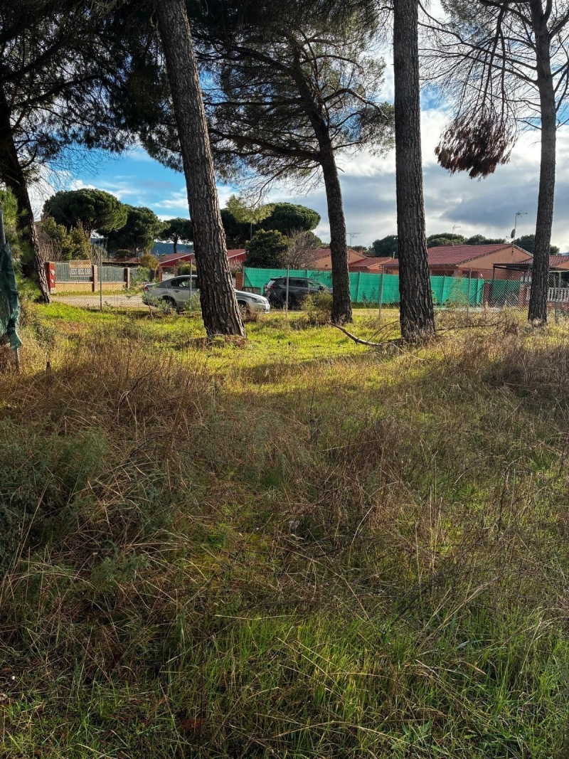 Parcela en venta para construir en Traspinedo.