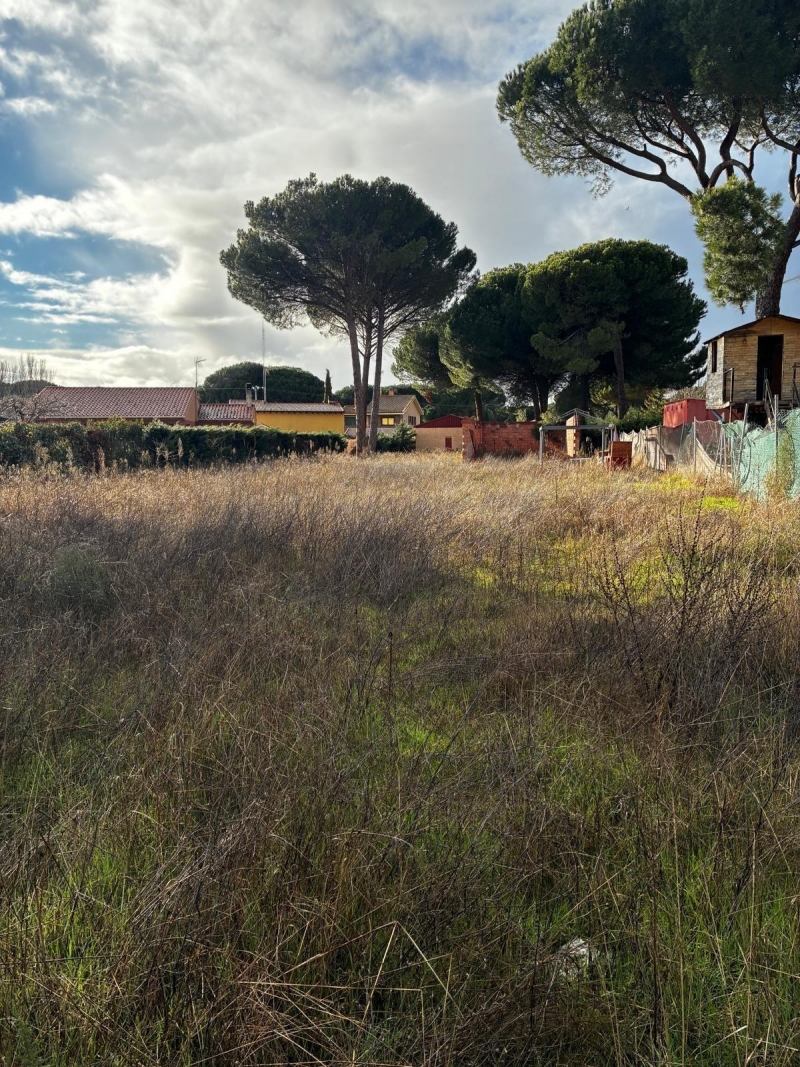 Parcela en venta para construir en Traspinedo.