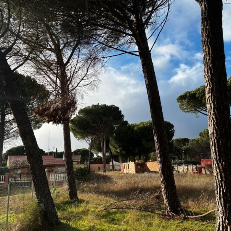 Parcela en venta para construir en Traspinedo.