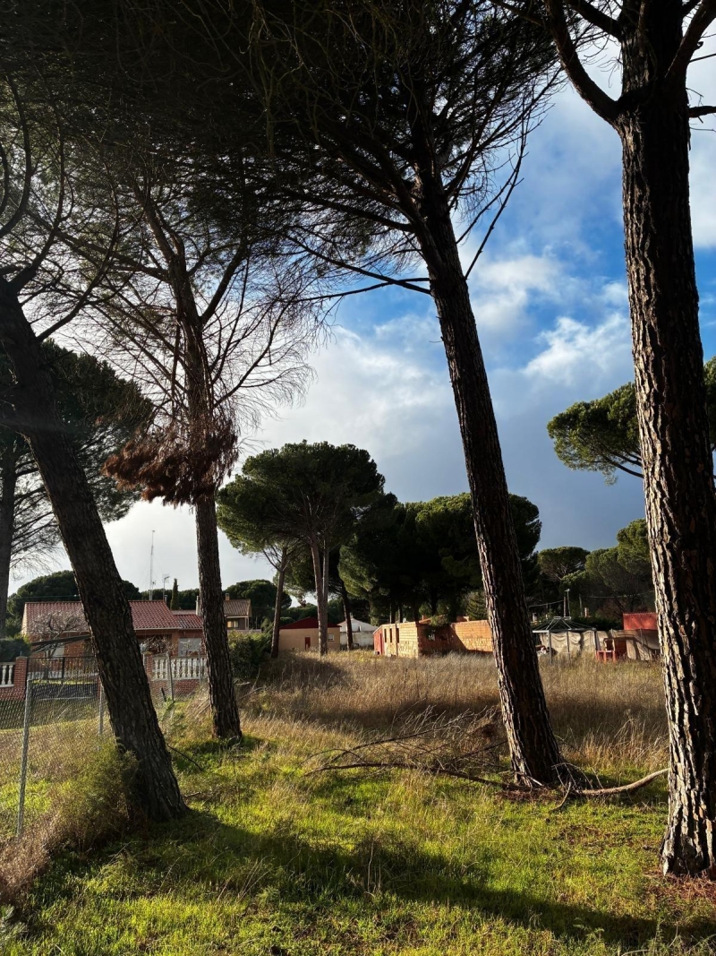 Parcela en venta para construir en Traspinedo.
