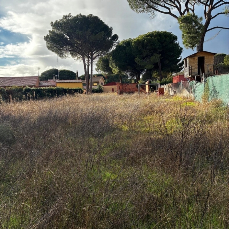 Parcela en venta para construir en Traspinedo.