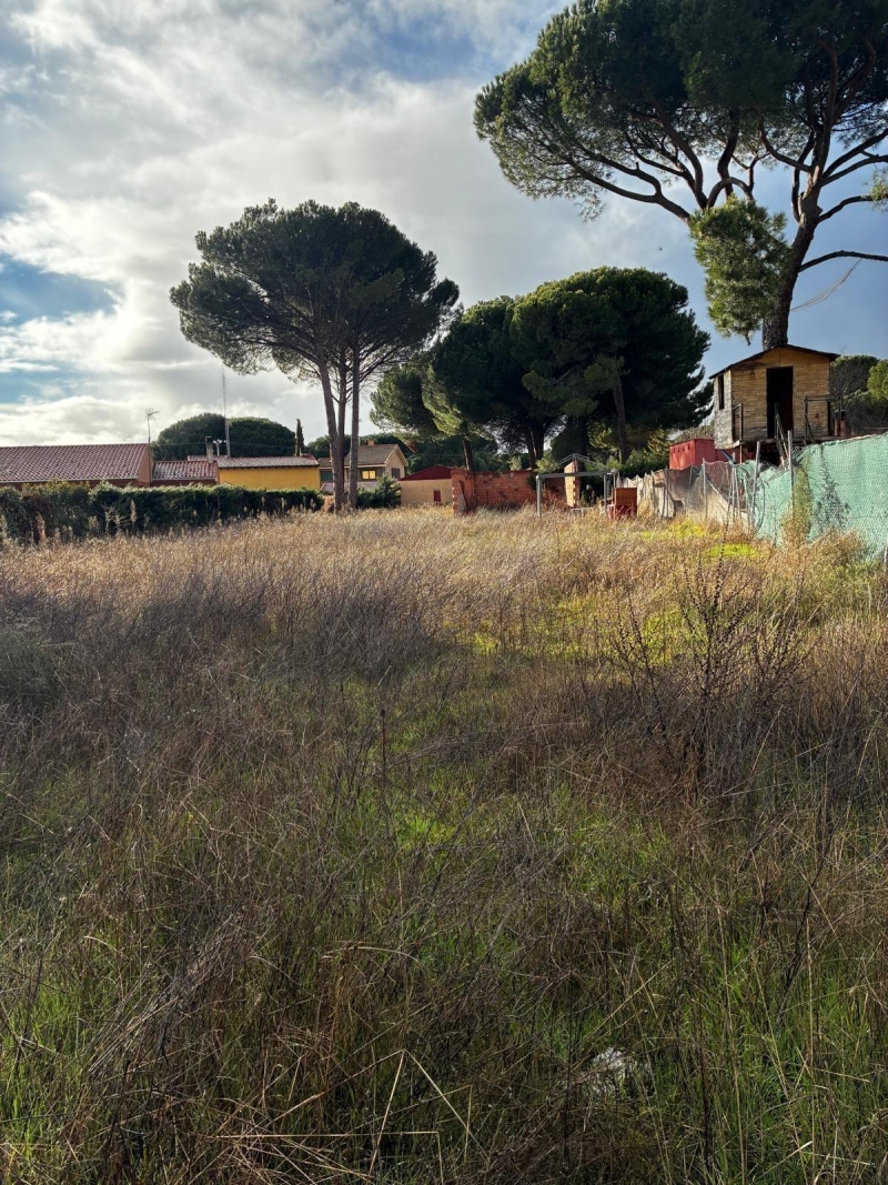 Parcela en venta para construir en Traspinedo.