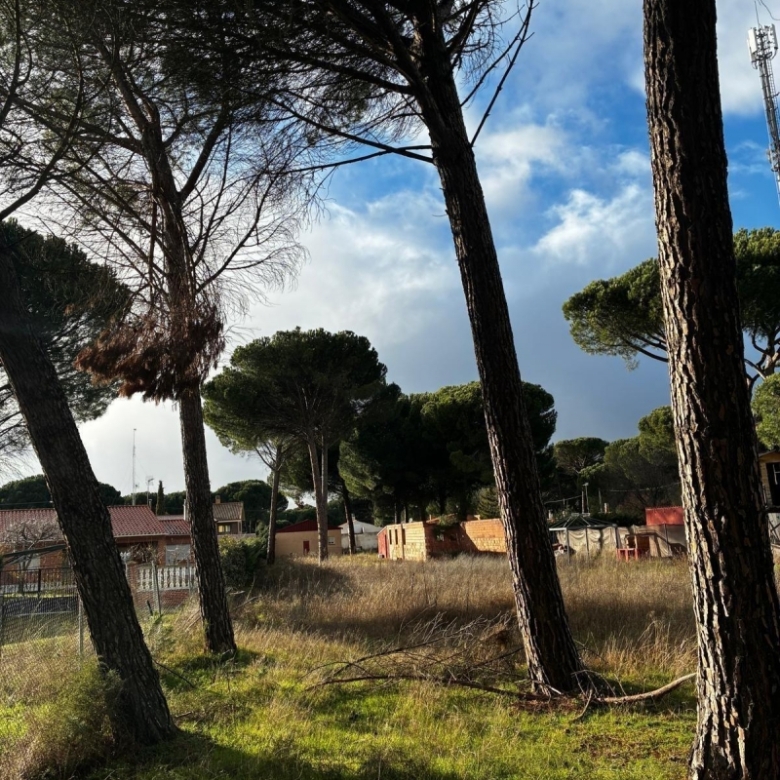 Parcela en venta para construir en Traspinedo.