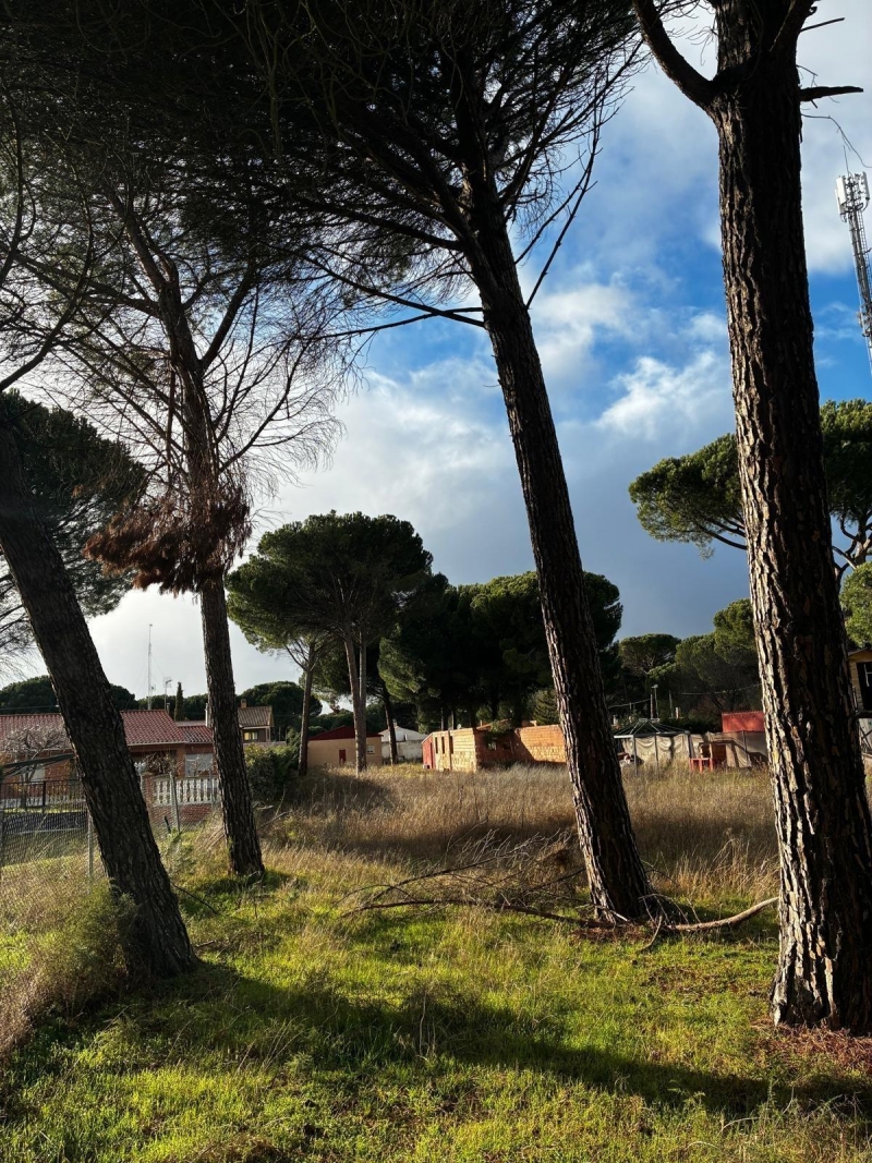 Parcela en venta para construir en Traspinedo.