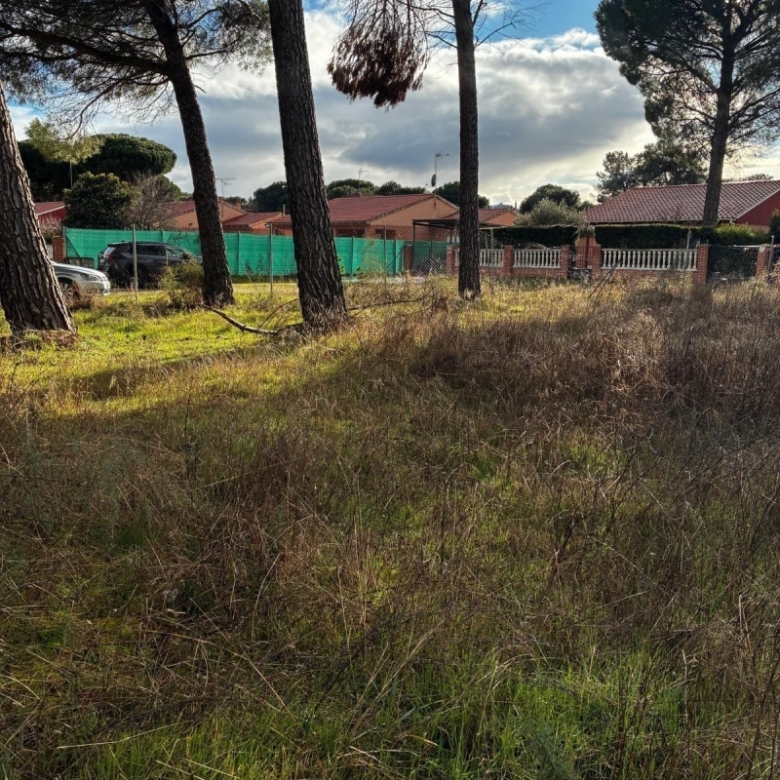 Parcela en venta para construir en Traspinedo.