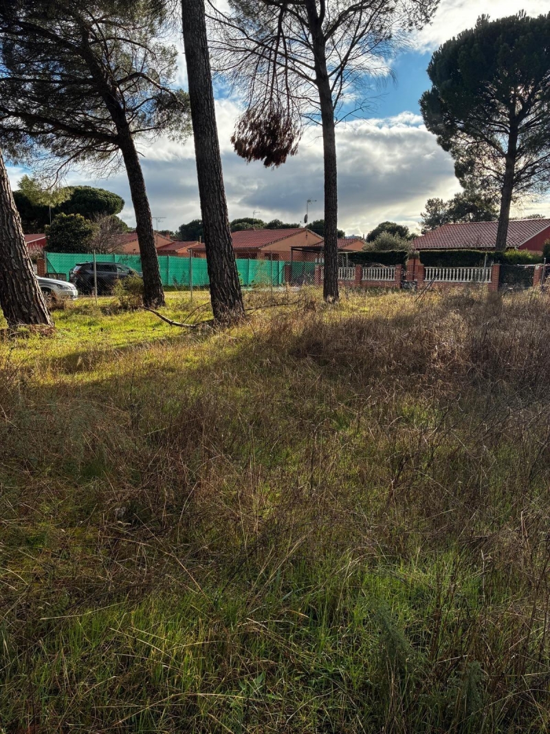 Parcela en venta para construir en Traspinedo.