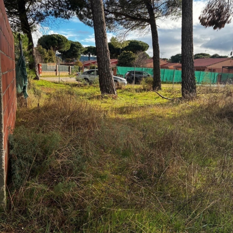 Parcela en venta para construir en Traspinedo.