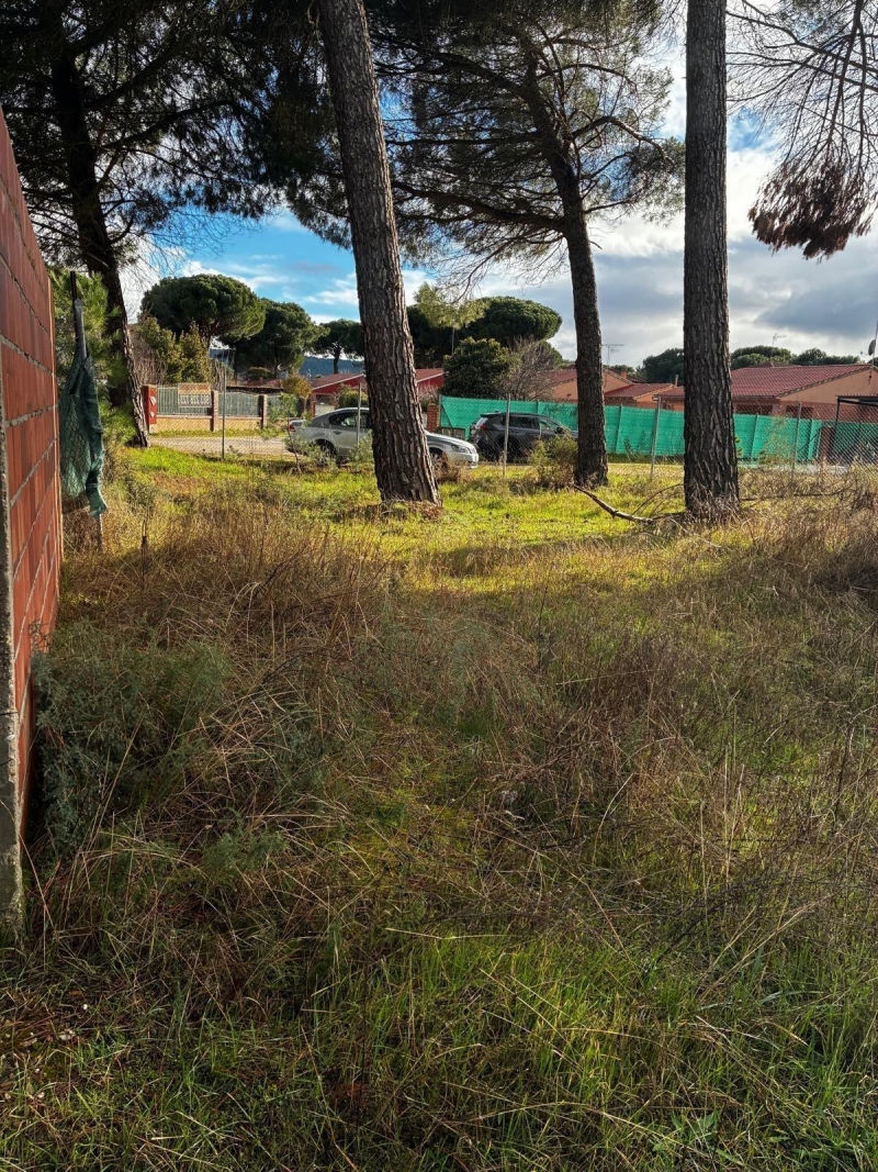 Parcela en venta para construir en Traspinedo.