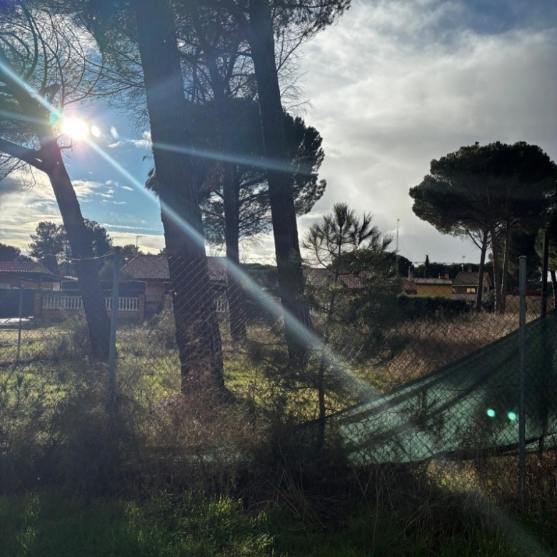 Parcela en venta para construir en Traspinedo.