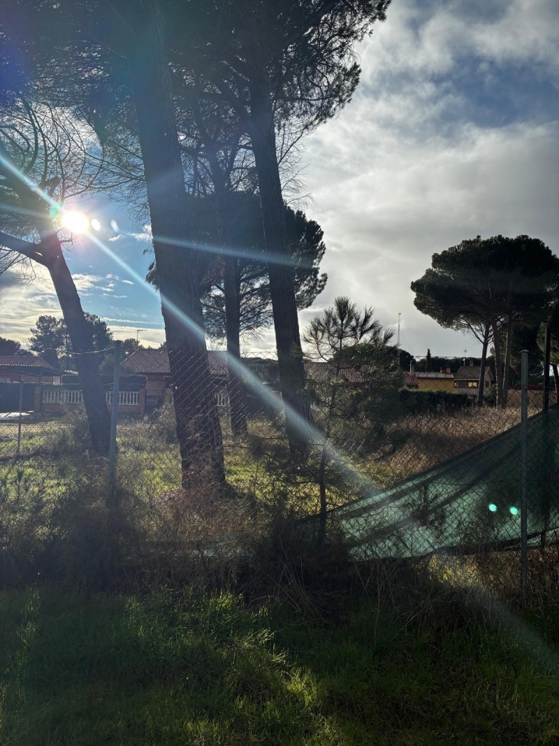 Parcela en venta para construir en Traspinedo.