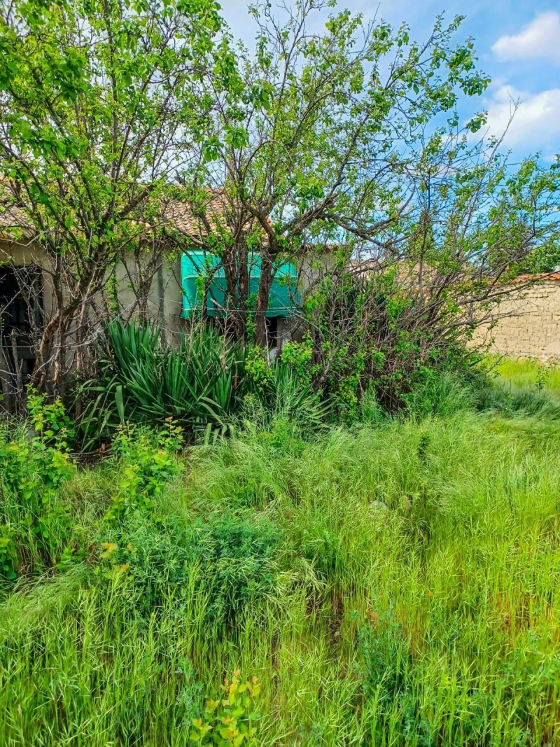 Casa de campo en venta en Pedrajas de San Esteban