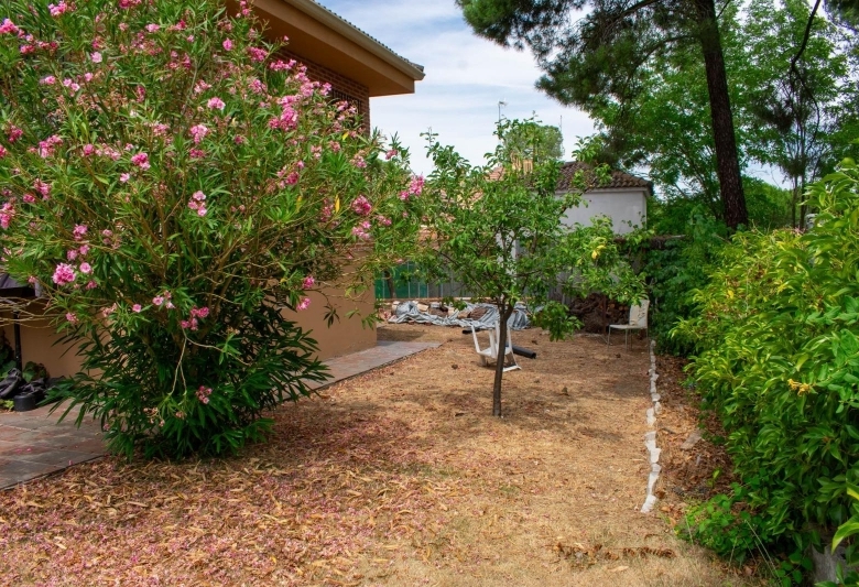 Chalet en venta con piscina en Las Fuentes Mojados